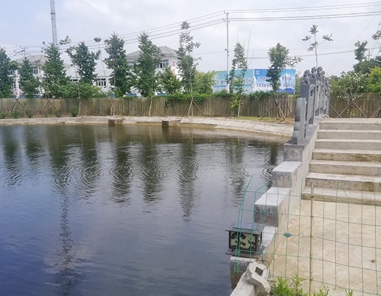 厂区展示